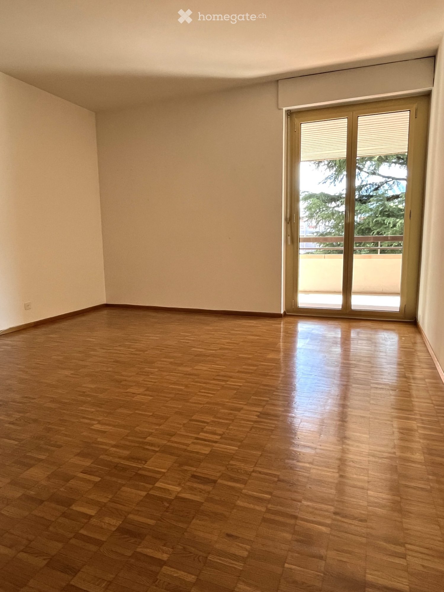 4 ½ Zimmer-Wohnung