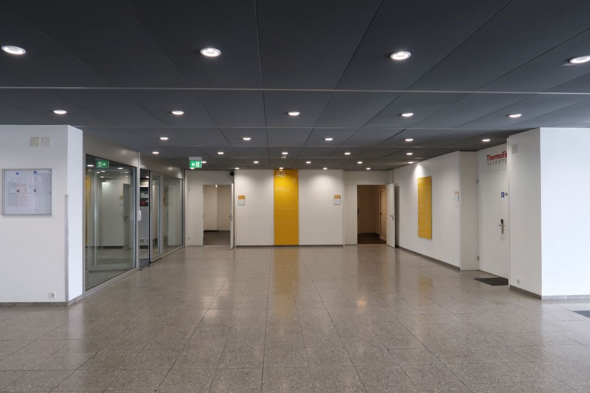 81m² ufficio