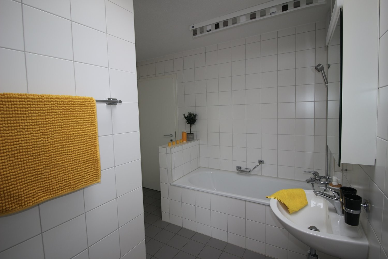 5 ½ Zimmer Attikawohnung