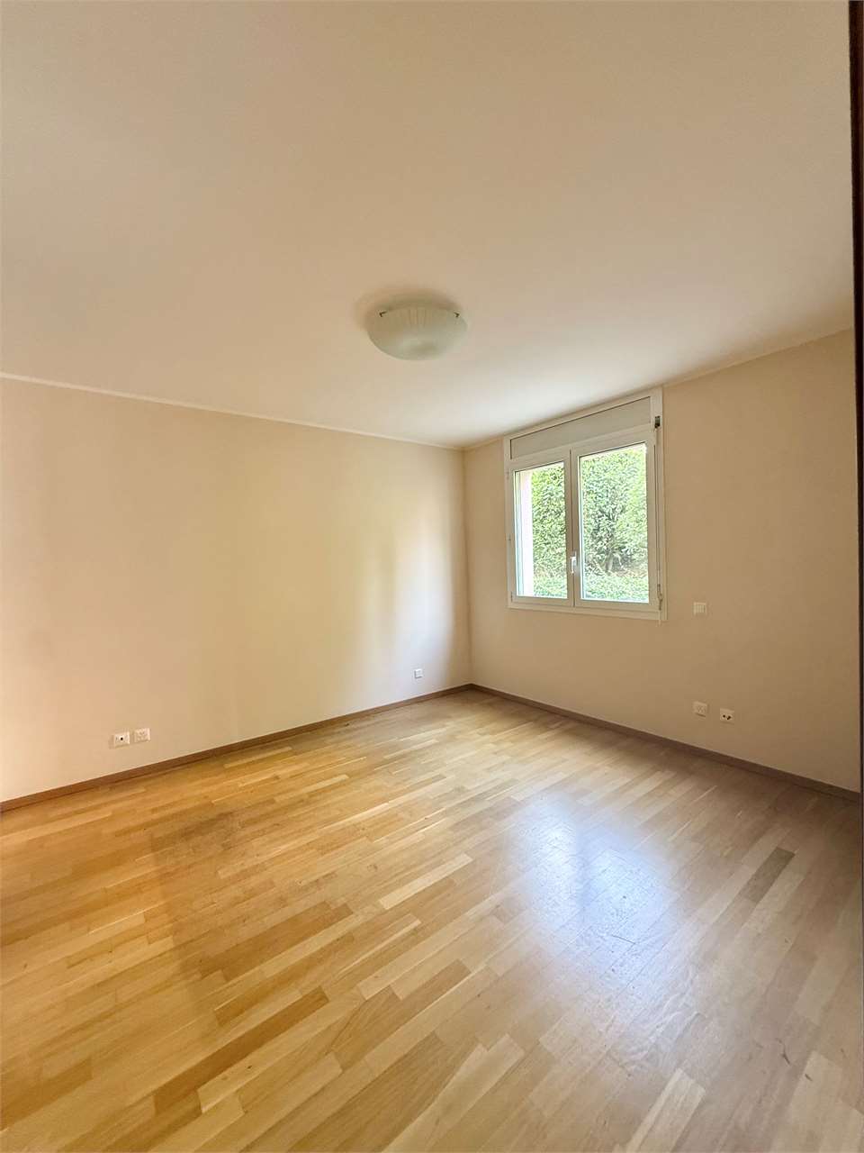 2 ½ Zimmer Wohnung