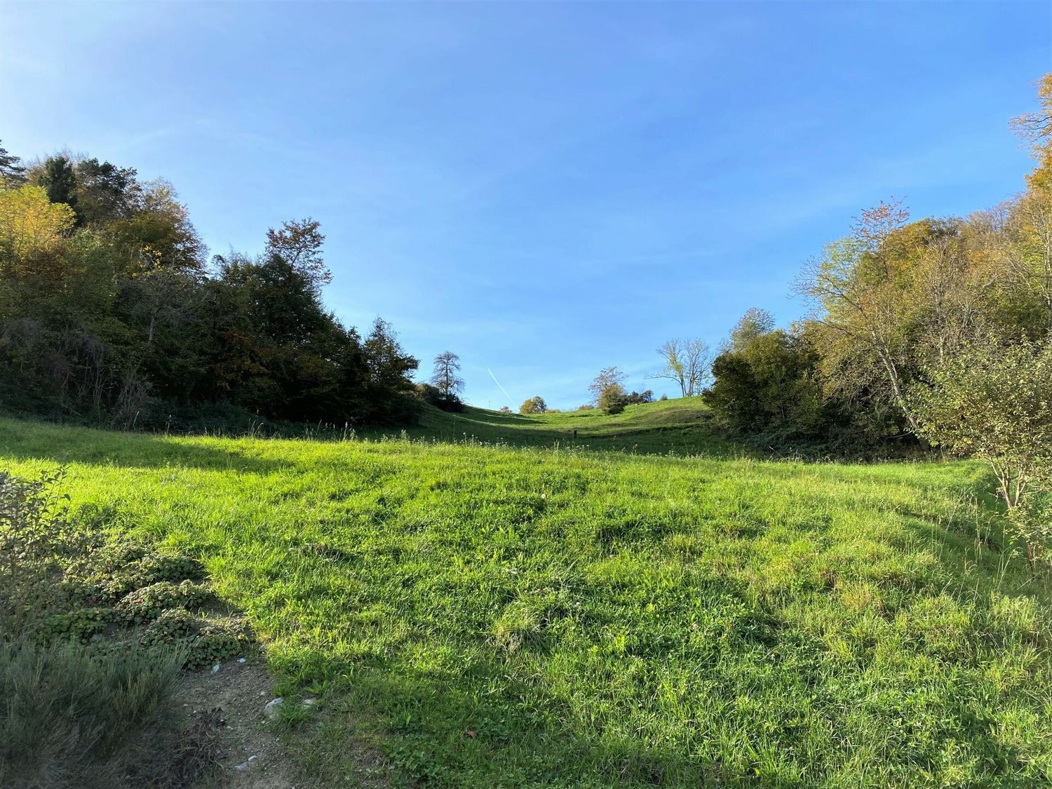 1958m² di terreno edificabile