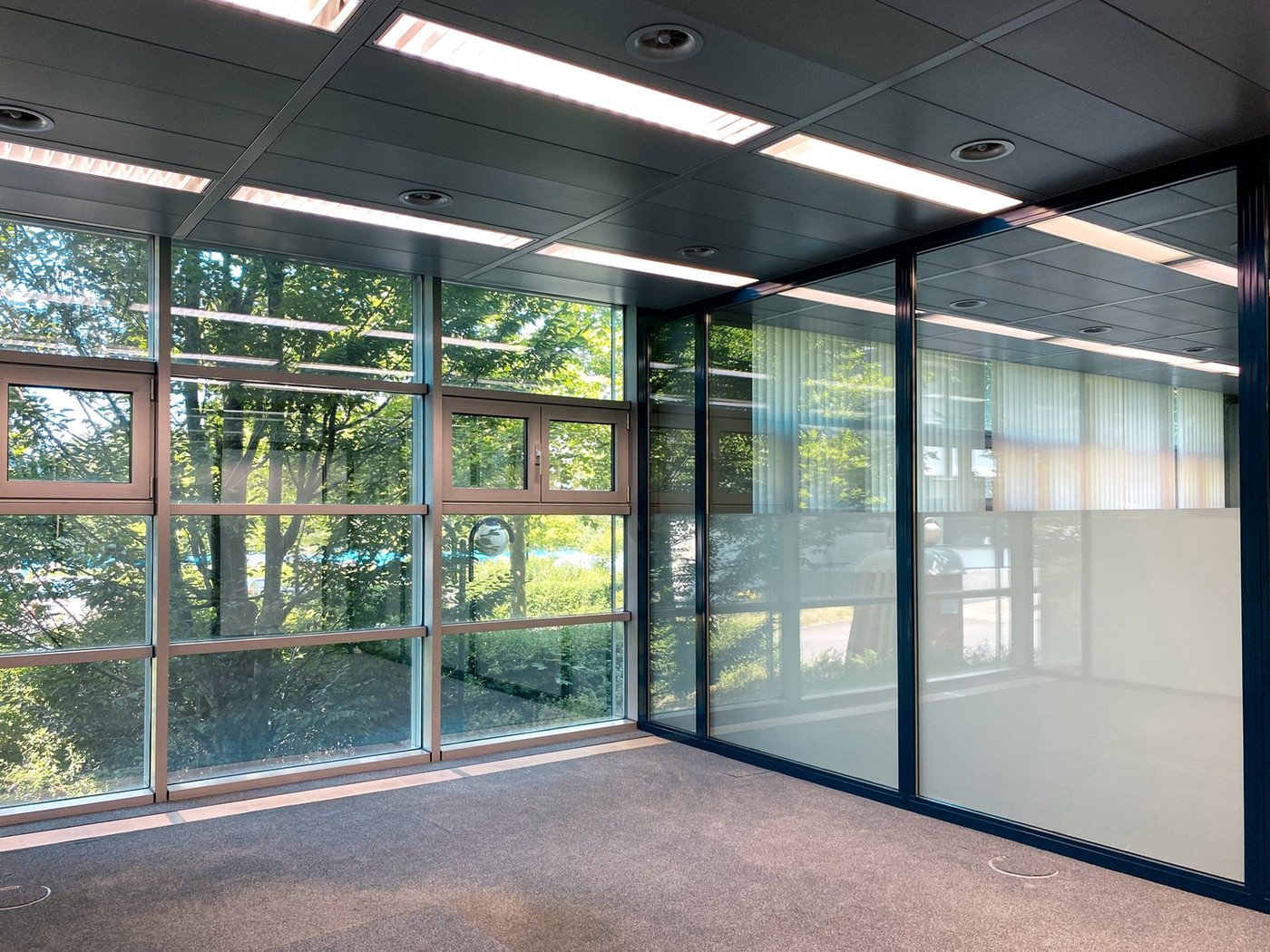 263m² office