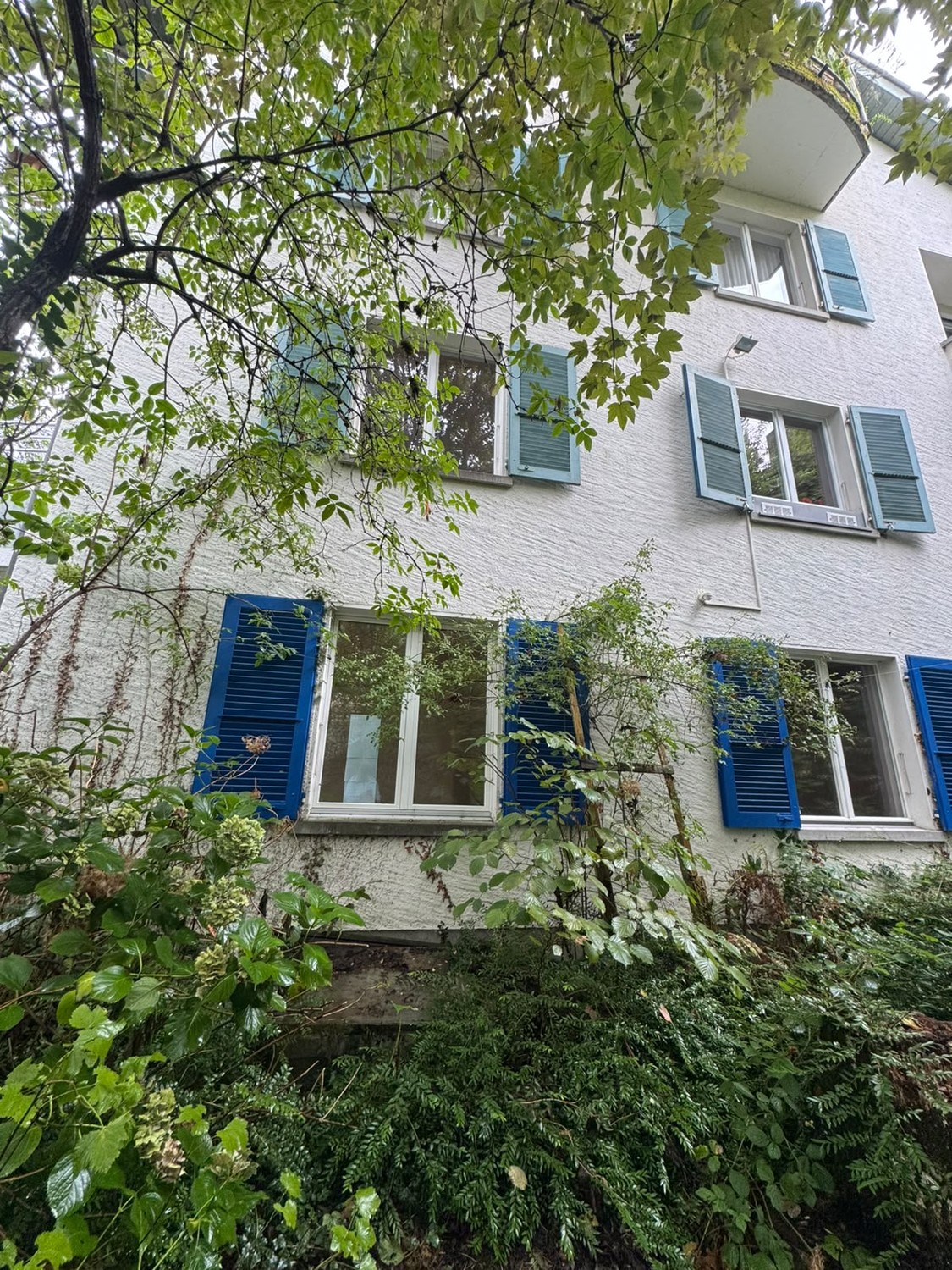 Room in a shared flat