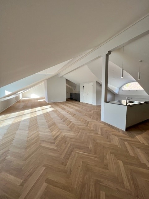 appartement 1 pièce