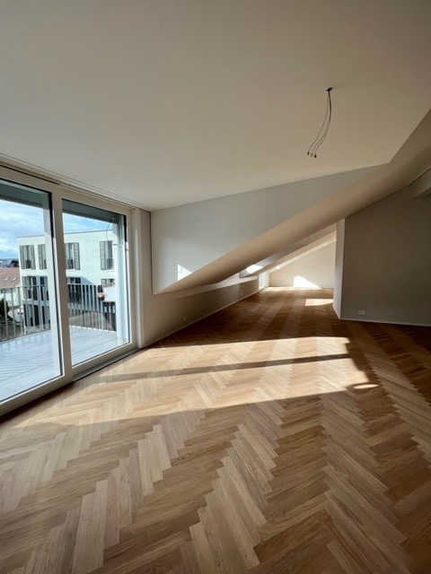 appartement 1 pièce