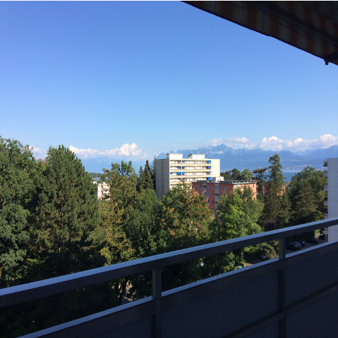 3 ½ Zimmer Wohnung