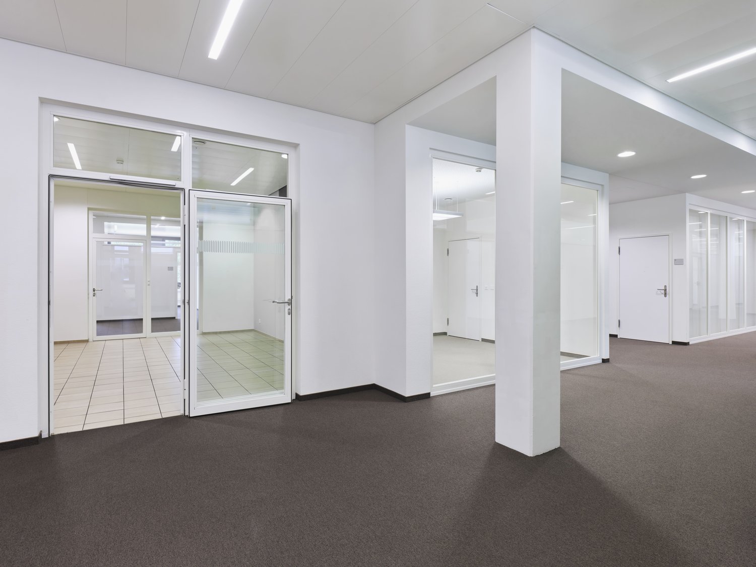 650m² office