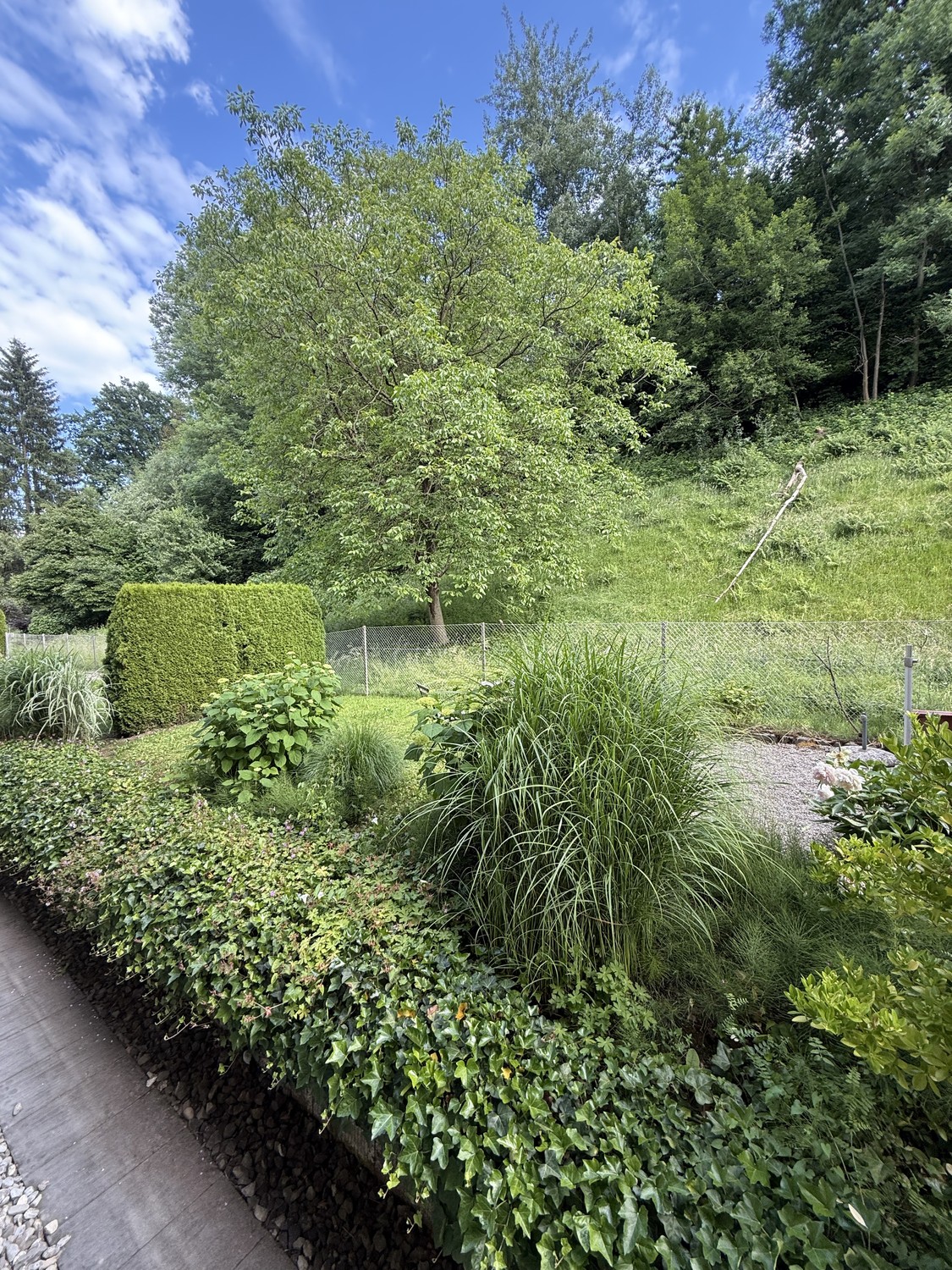 Zimmer in einer WG