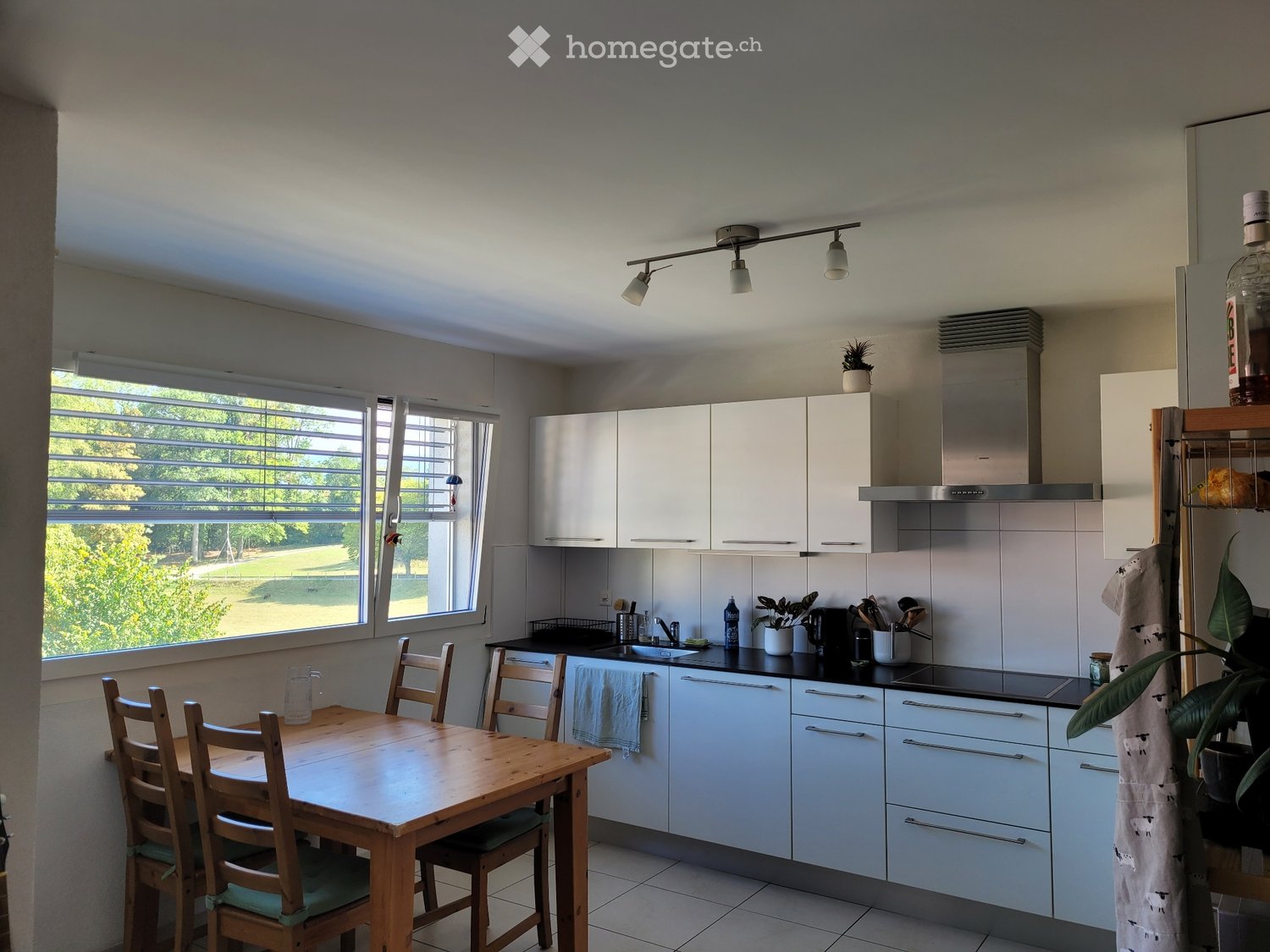 3 ½ Zimmer Wohnung