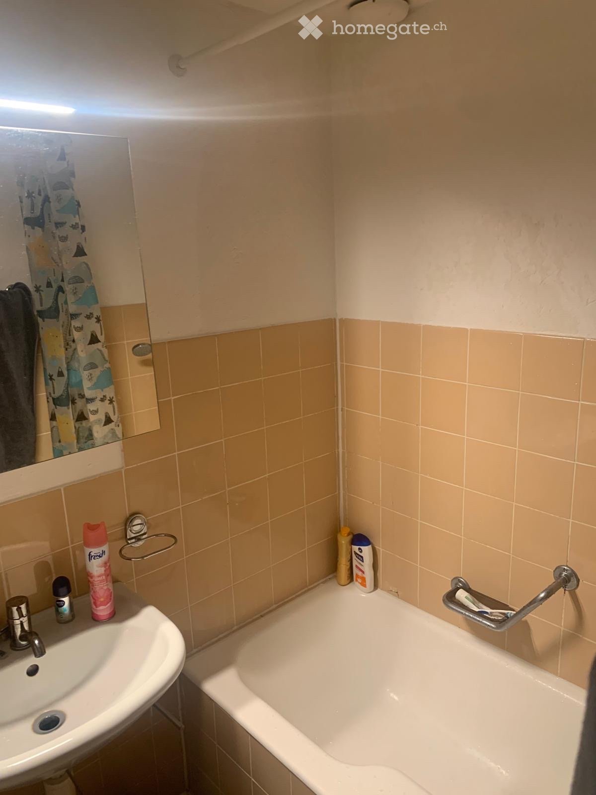 1-Zimmer-Wohnung