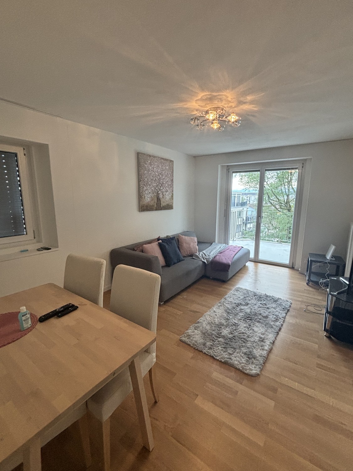 3 ½ rooms apartment