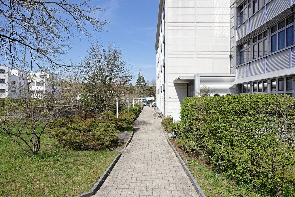 480m² office