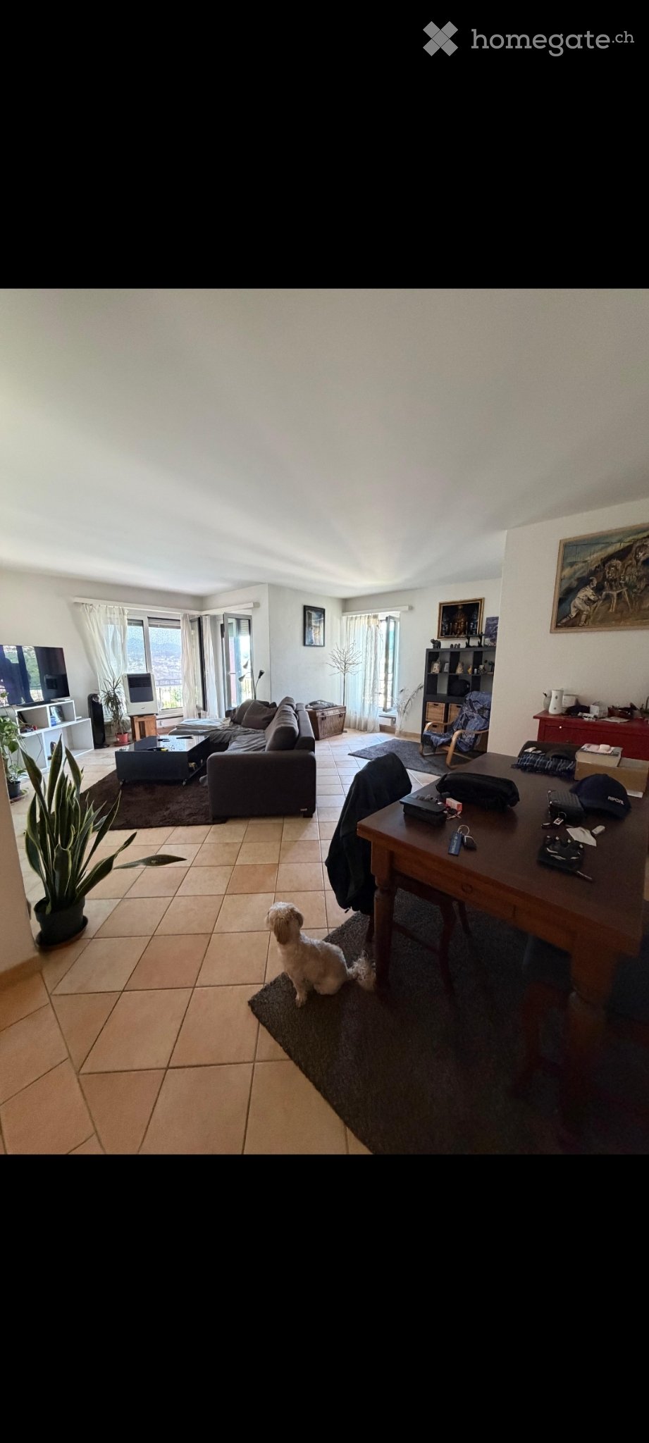 3 ½ Zimmer-Wohnung

Pregassona alta. In einem kleinen Wohnblock befindet sich eine wunderschöne Wohnung im ersten Stock, in der Nähe des Kindergartens und der Sekundarschule. Zwei Schlafzimmer, eines mit kleinem Balkon. Ein Badezimmer mit Badewanne und eines mit Dusche. Flur mit geräumigem Einbausch