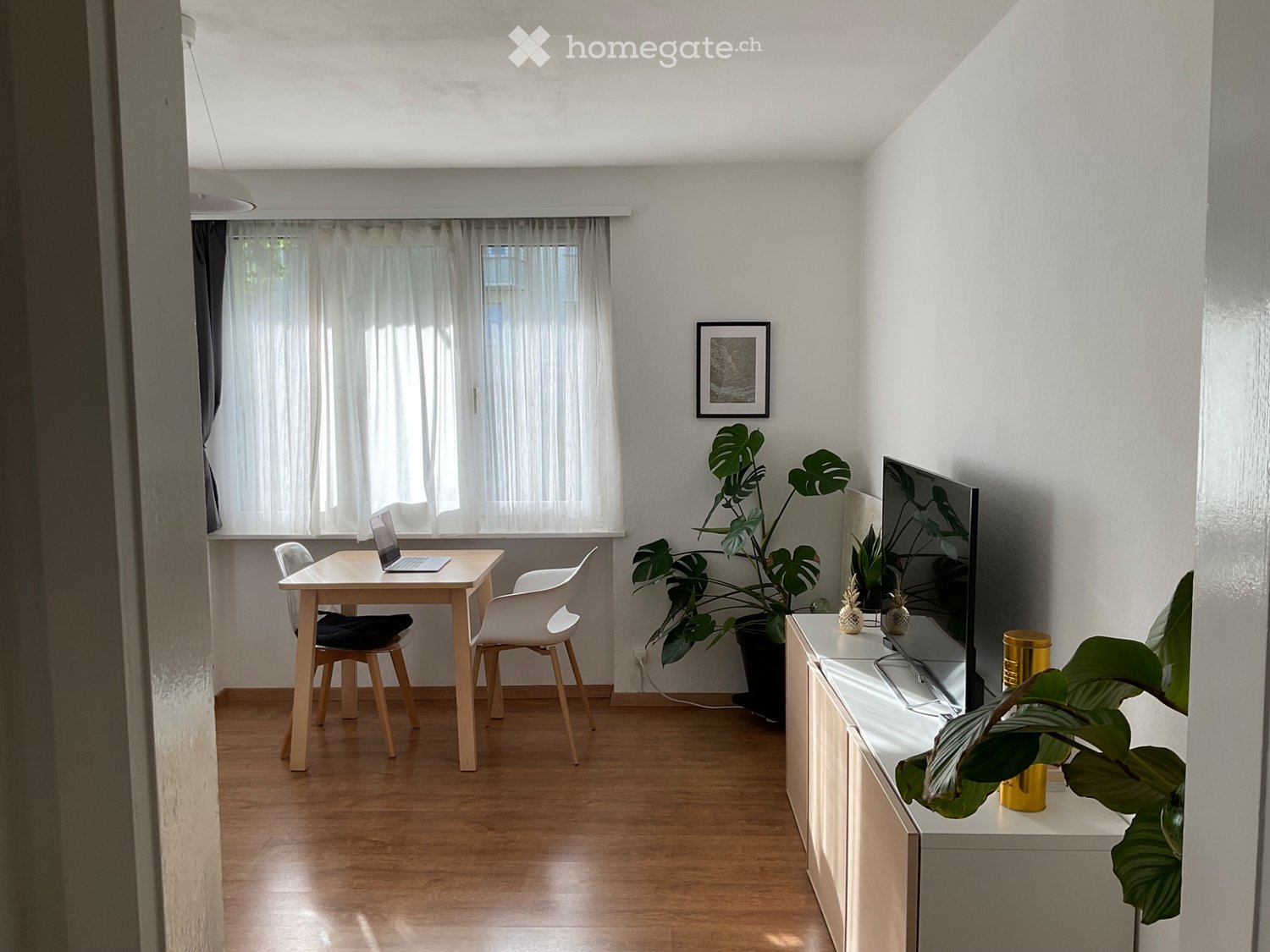 1 room single room