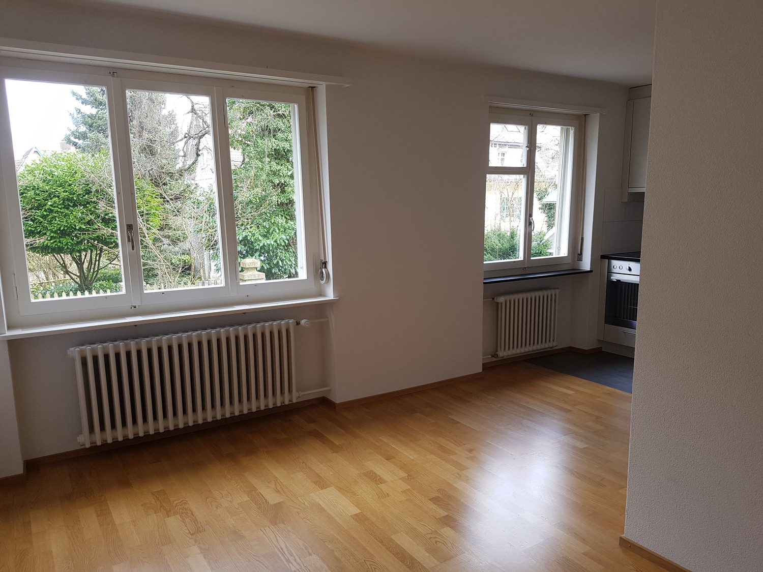 3 ½ rooms apartment