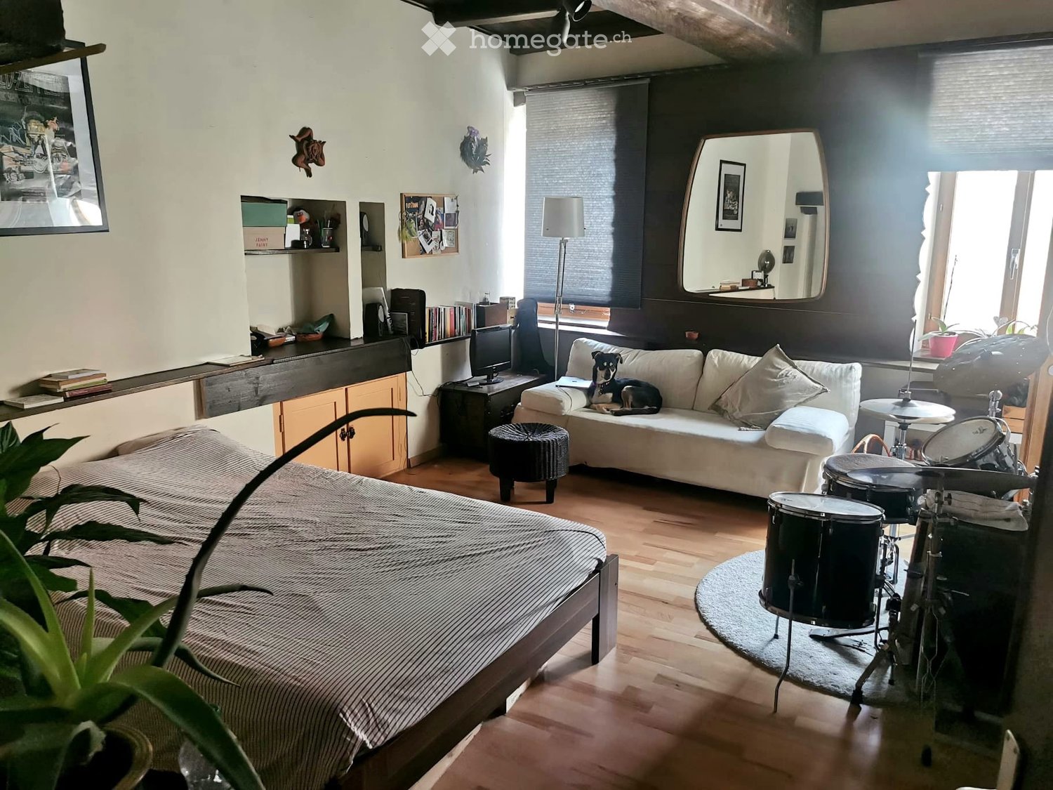 1 Zimmer Einzelzimmer