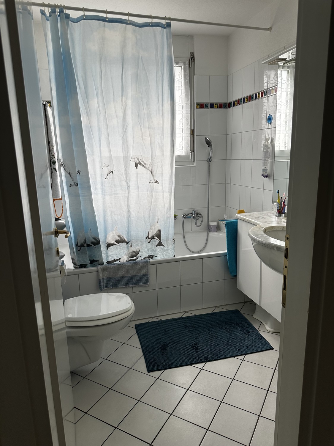 Appartamento di 4 ½ locali