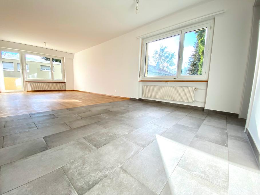 3 ½ Zimmer-Wohnung