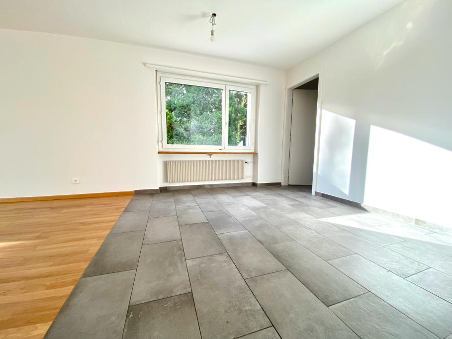 3 ½ Zimmer-Wohnung