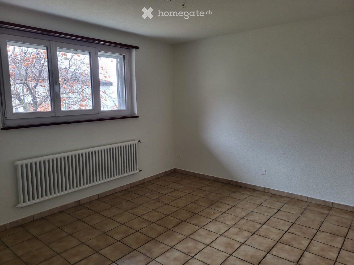 2 ½ Zimmer Wohnung