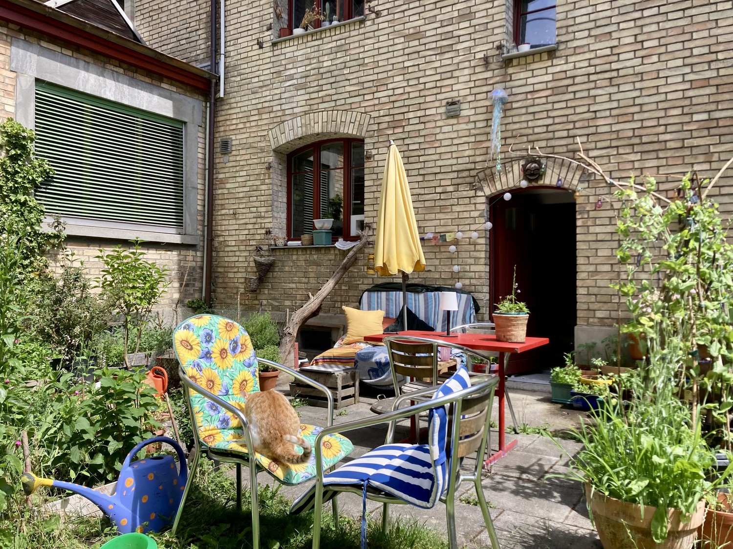 Room in a shared flat