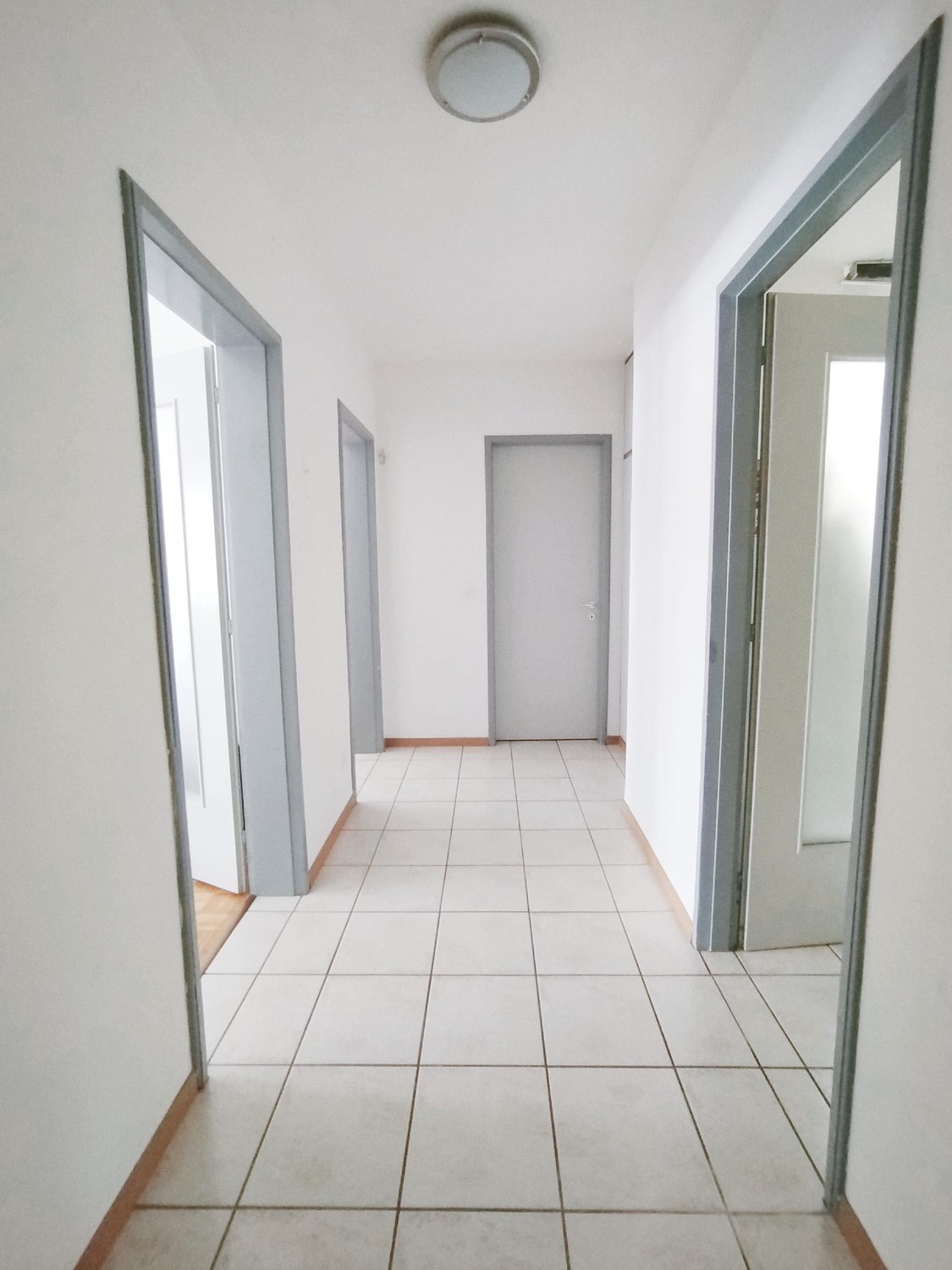 2 ½ Zimmer Wohnung