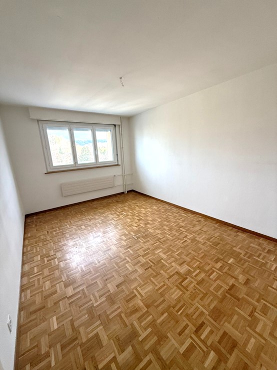 3 ½ Zimmer-Wohnung