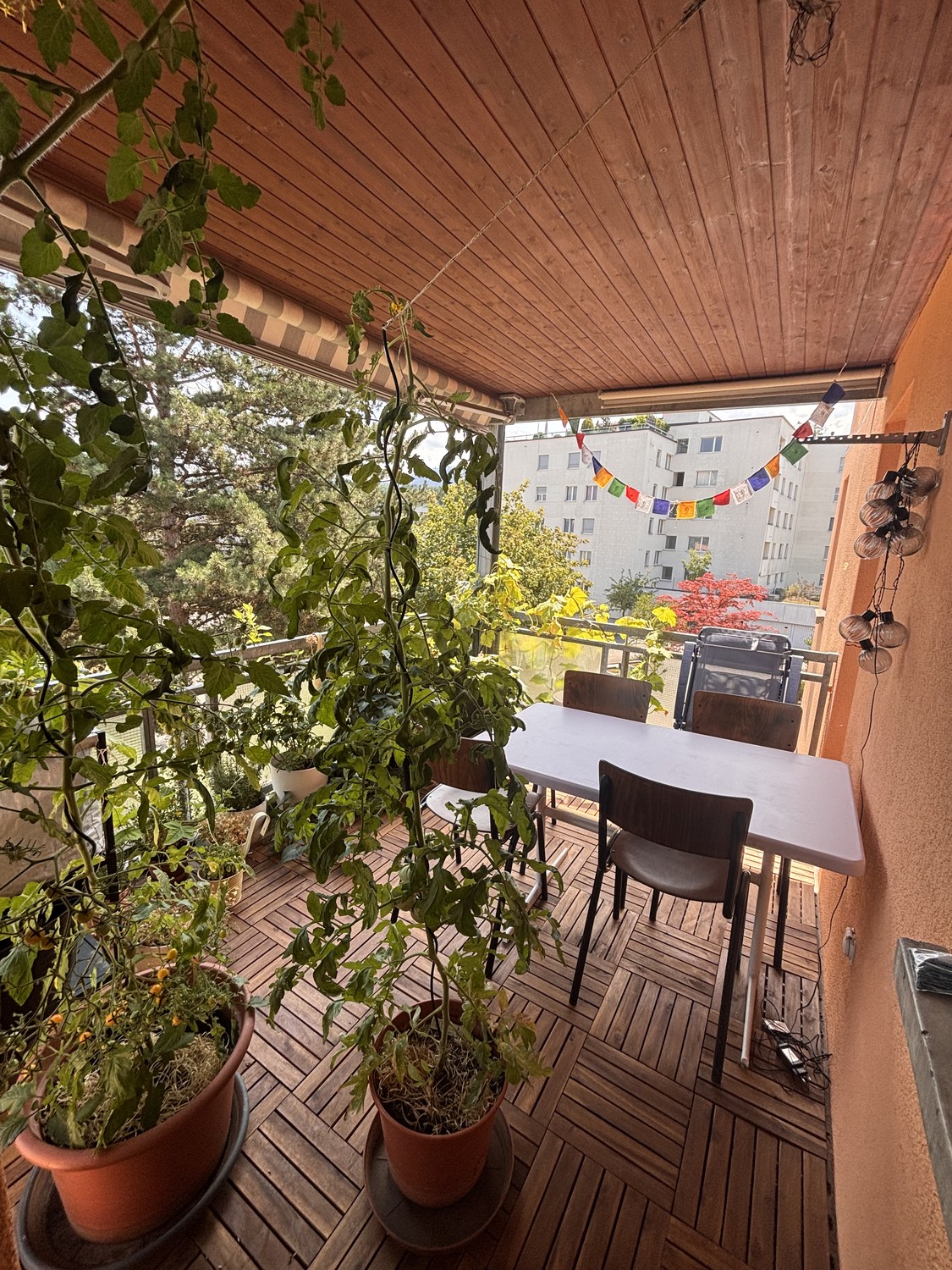 Appartement de 3 ½ pièces