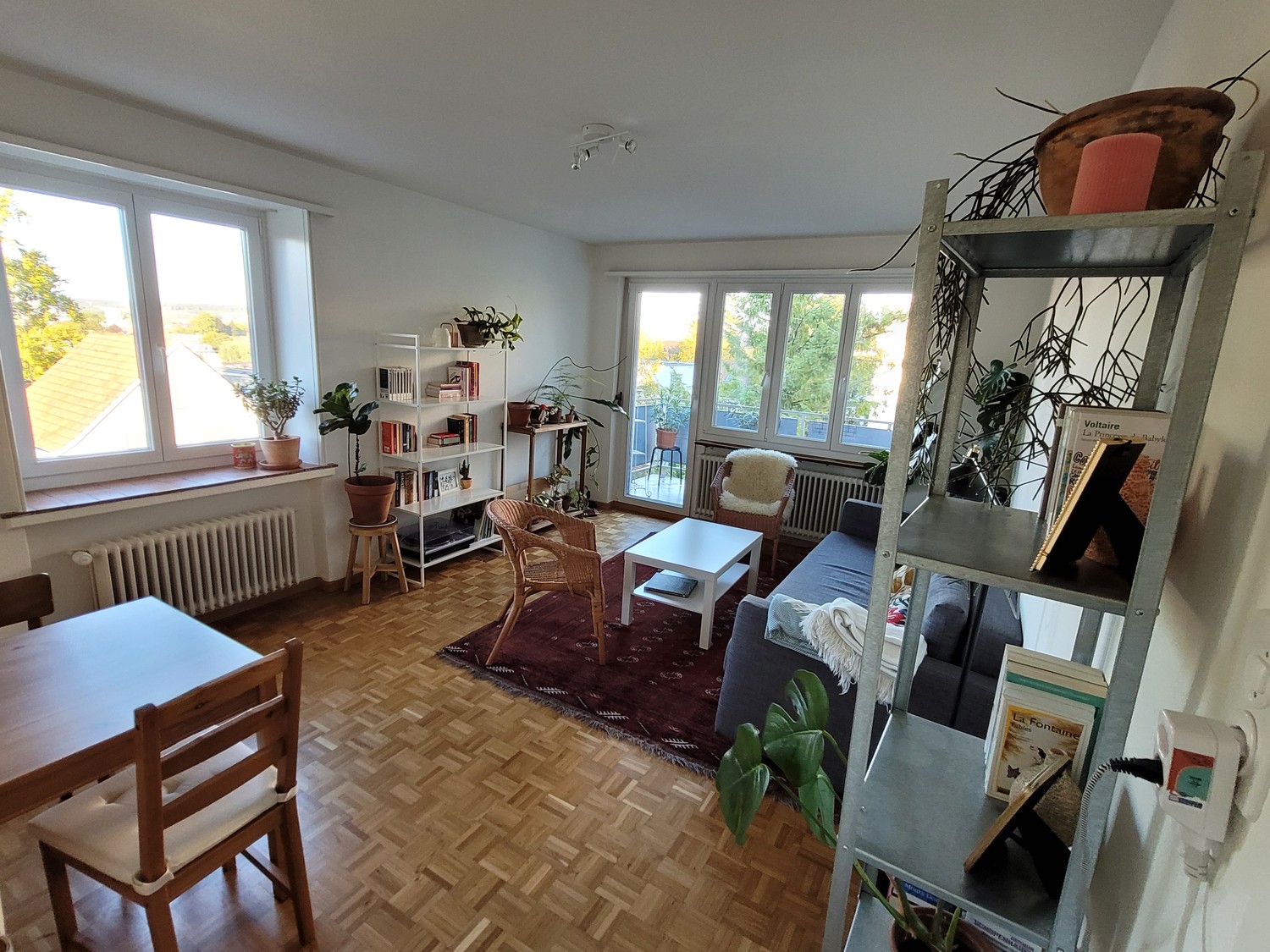 Room in a shared flat