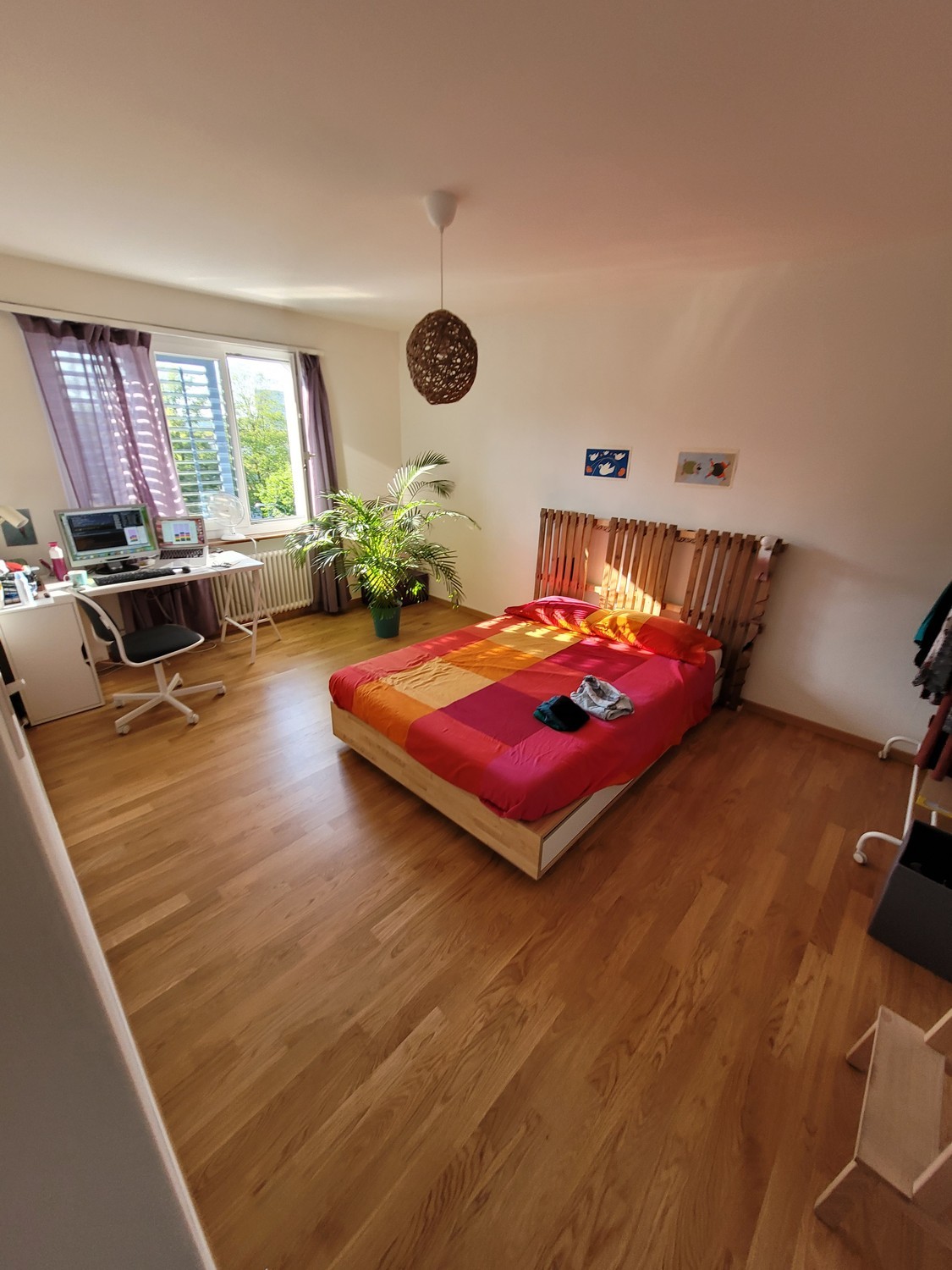 Room in a shared flat