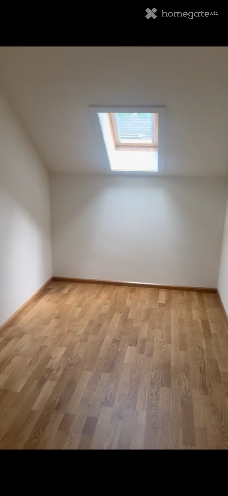 appartement 1 pièce