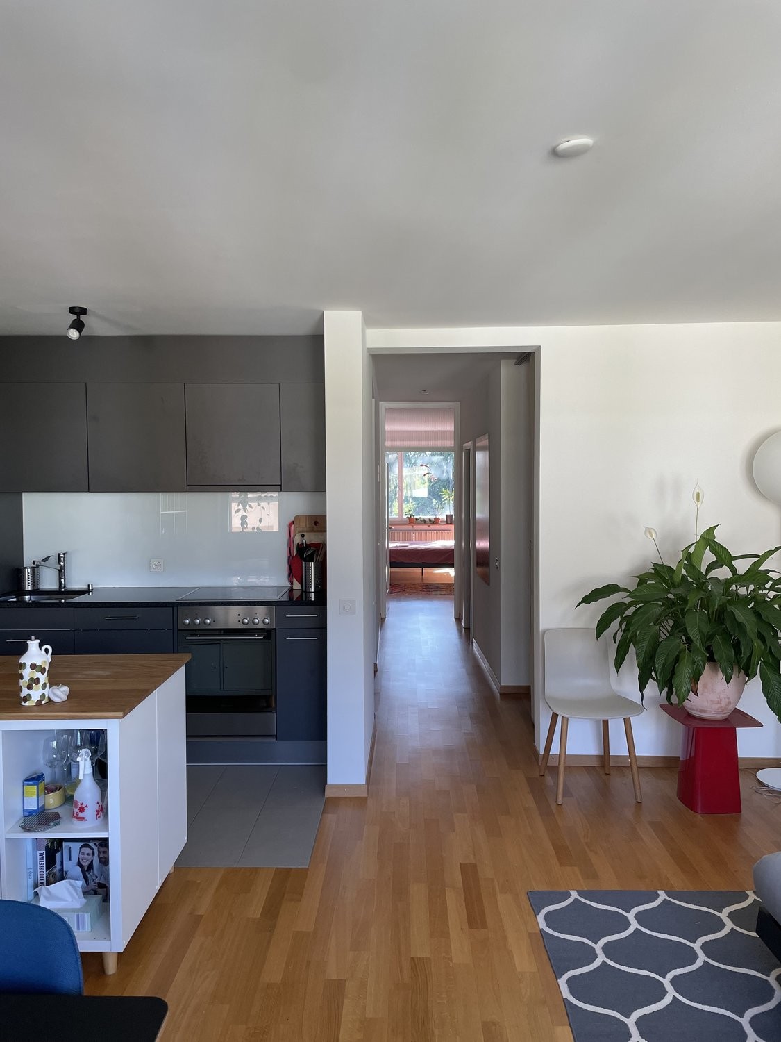 2 ½ rooms furnished flat