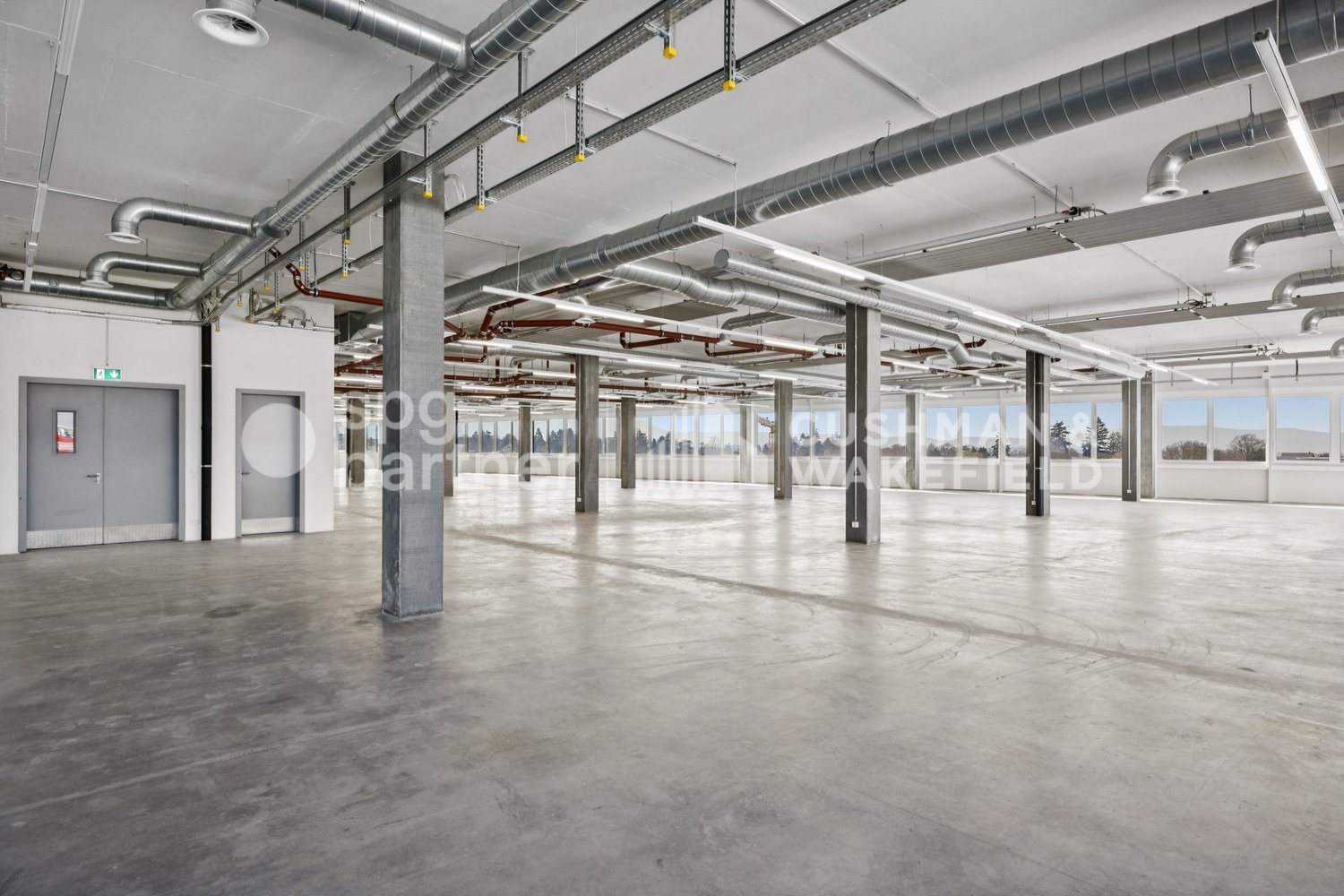 1000m² commerciale