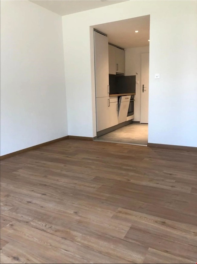 1 room apartment