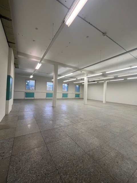 167m² commercial