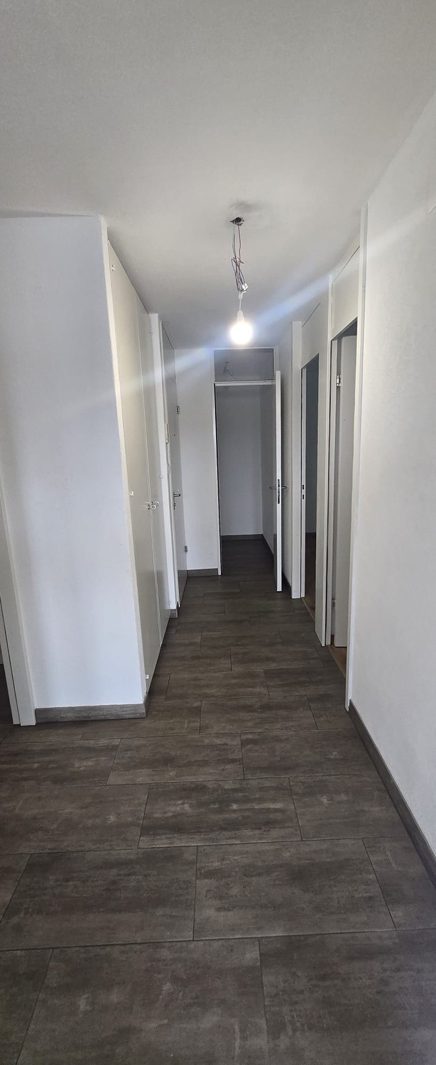 appartamento di 3 locali