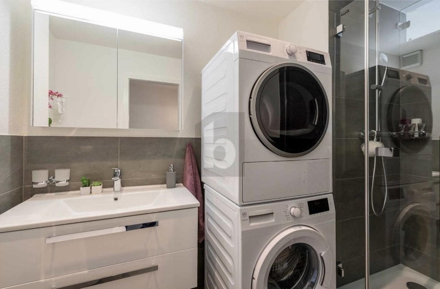 3 ½ rooms duplex