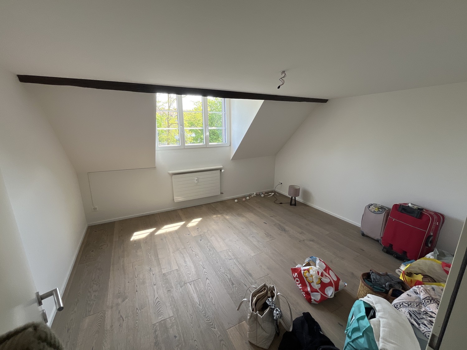 Room in a shared flat
