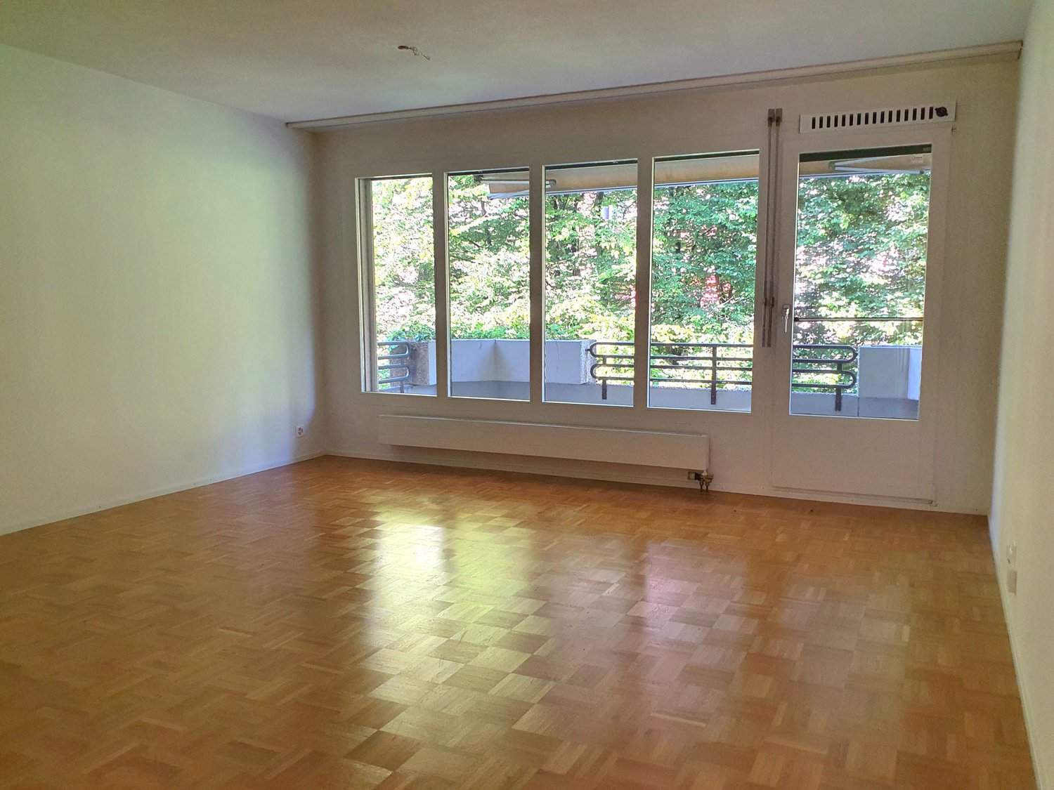 4 ½ rooms apartment