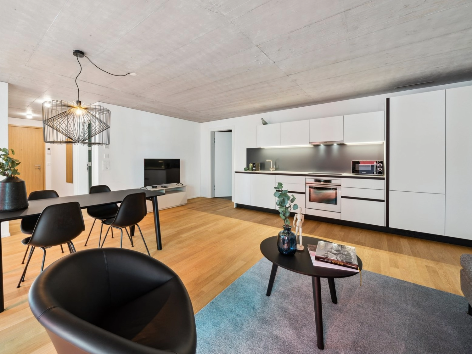 2 ½ rooms furnished flat