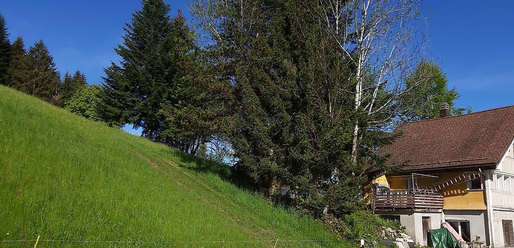 4 ½ pièces maison individuelle