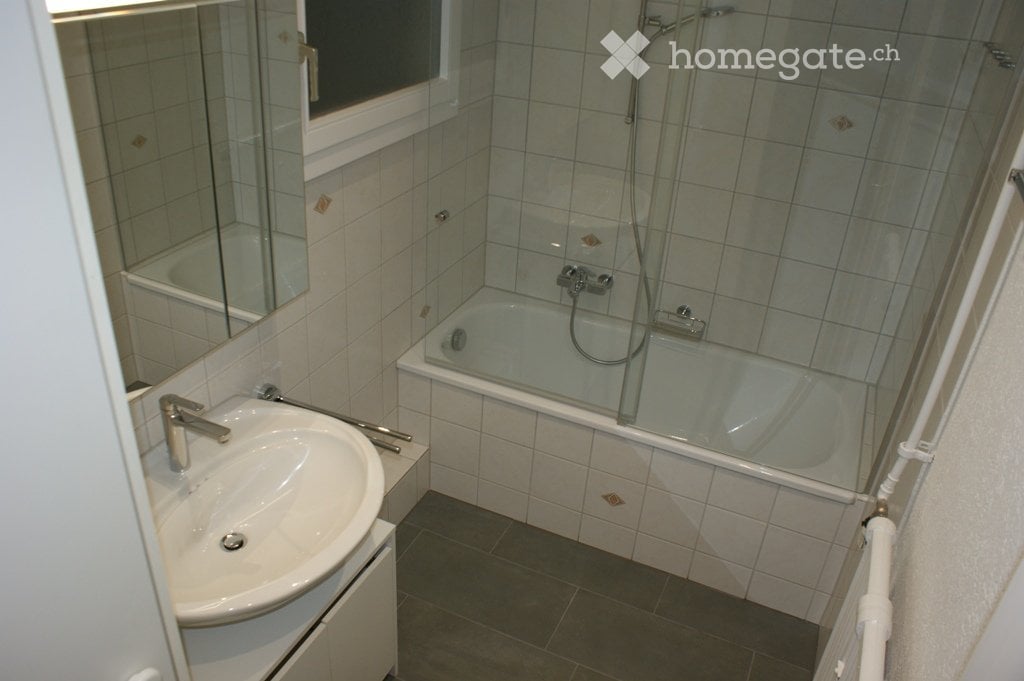 Appartement de 3 ½ pièces