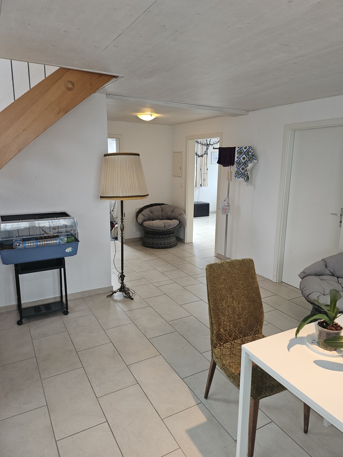 Room in a shared flat
