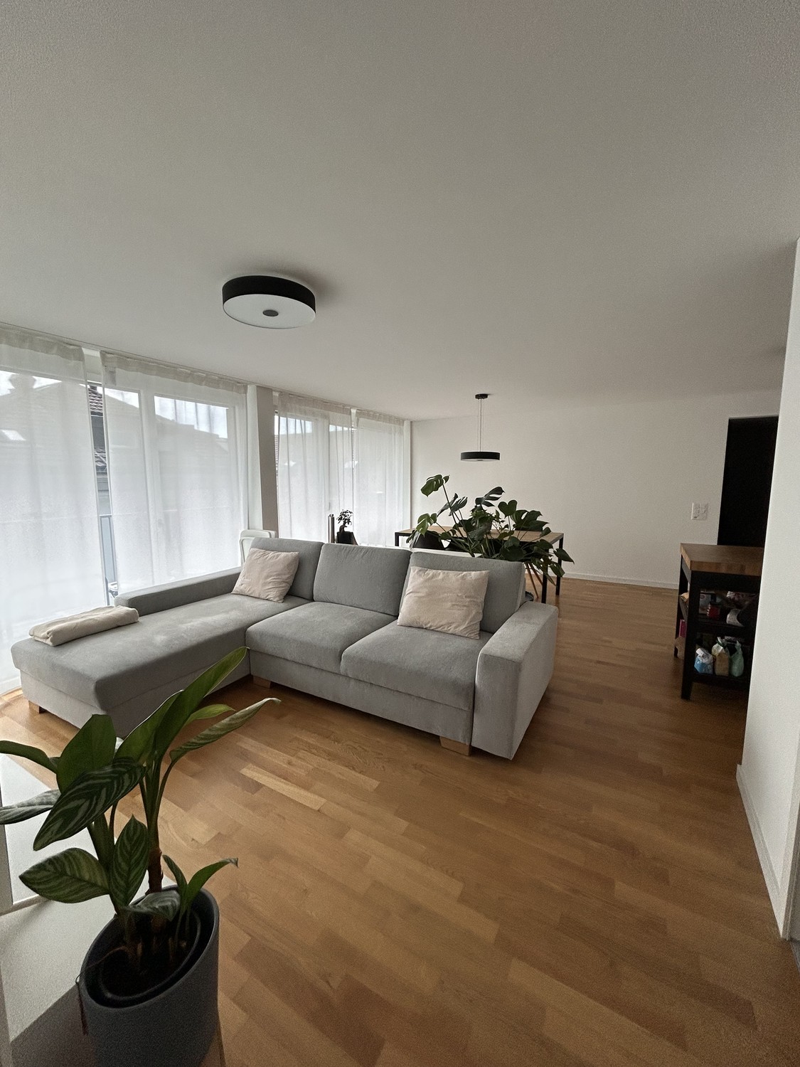 Room in a shared flat