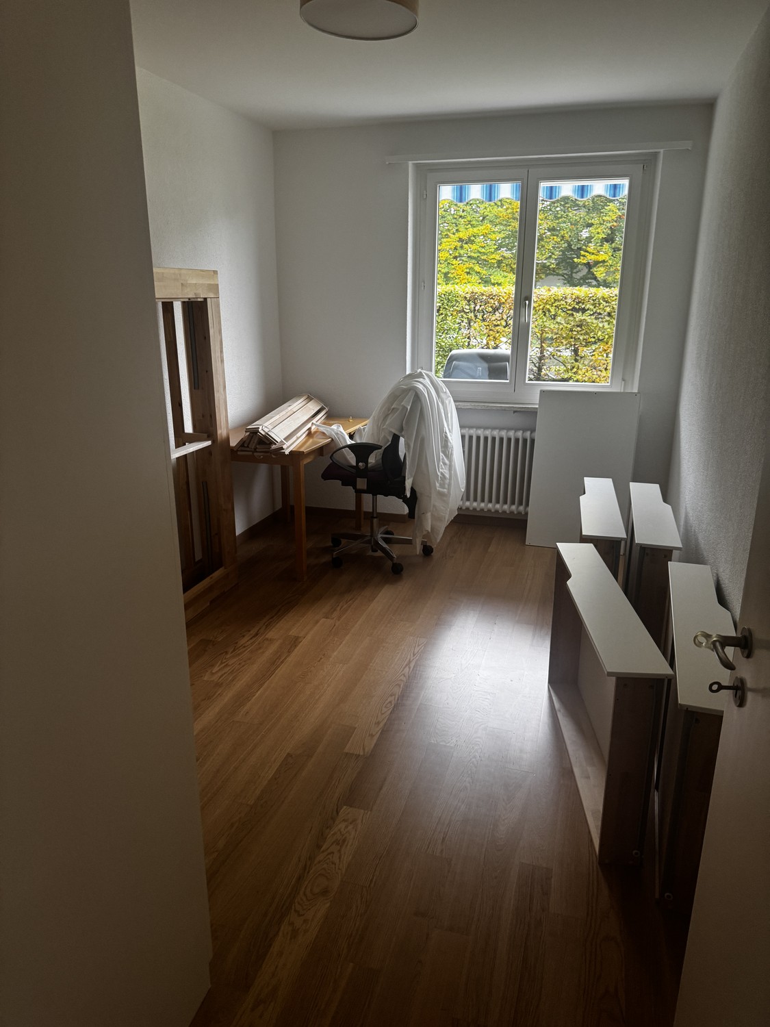 Room in a shared flat