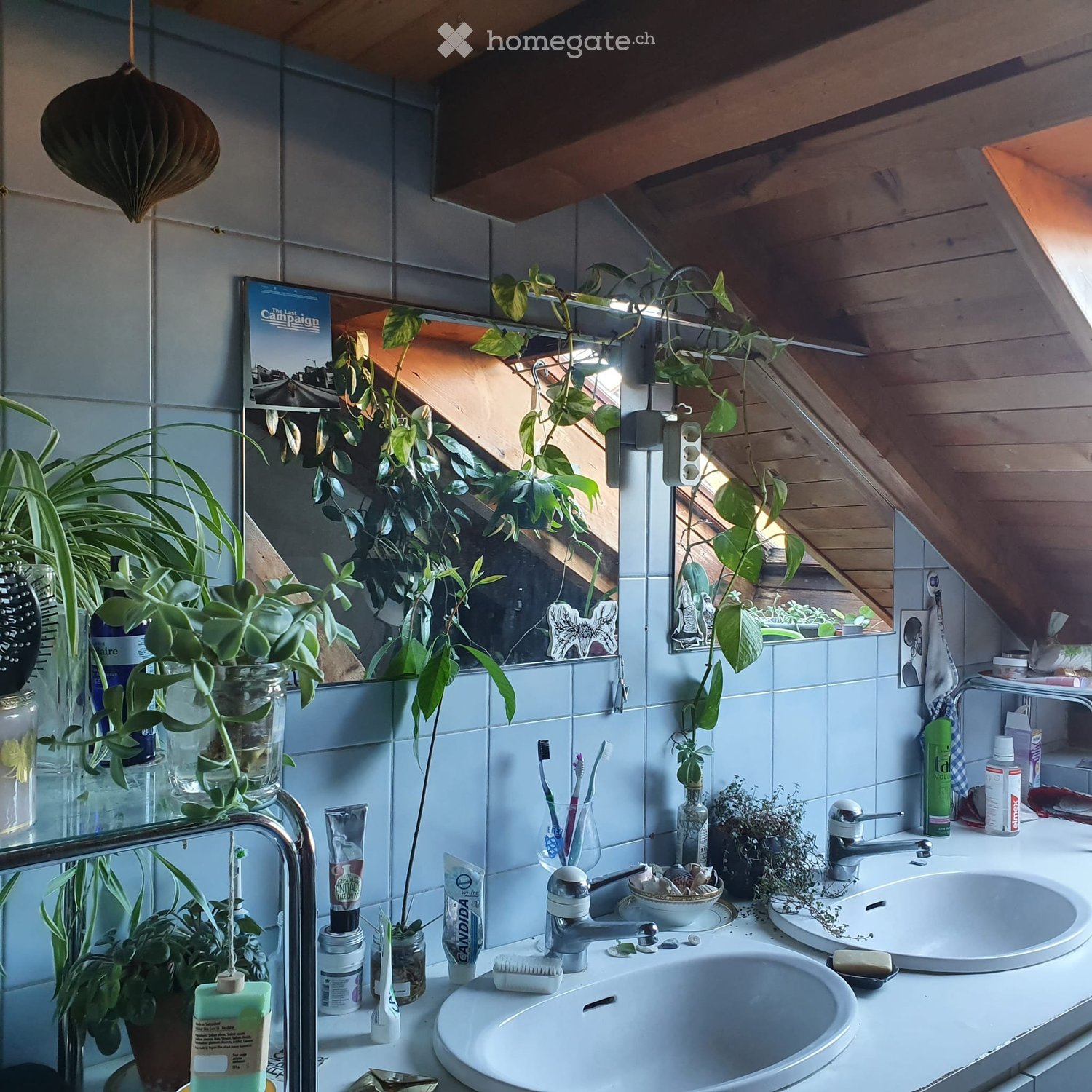 1 Zimmer Einzelzimmer