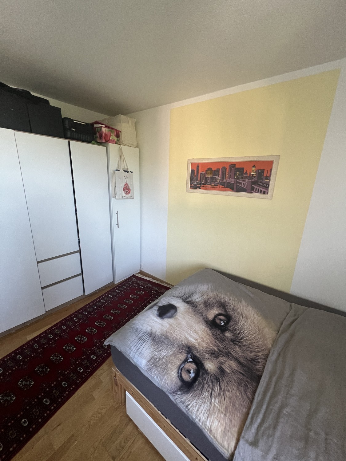 Room in a shared flat