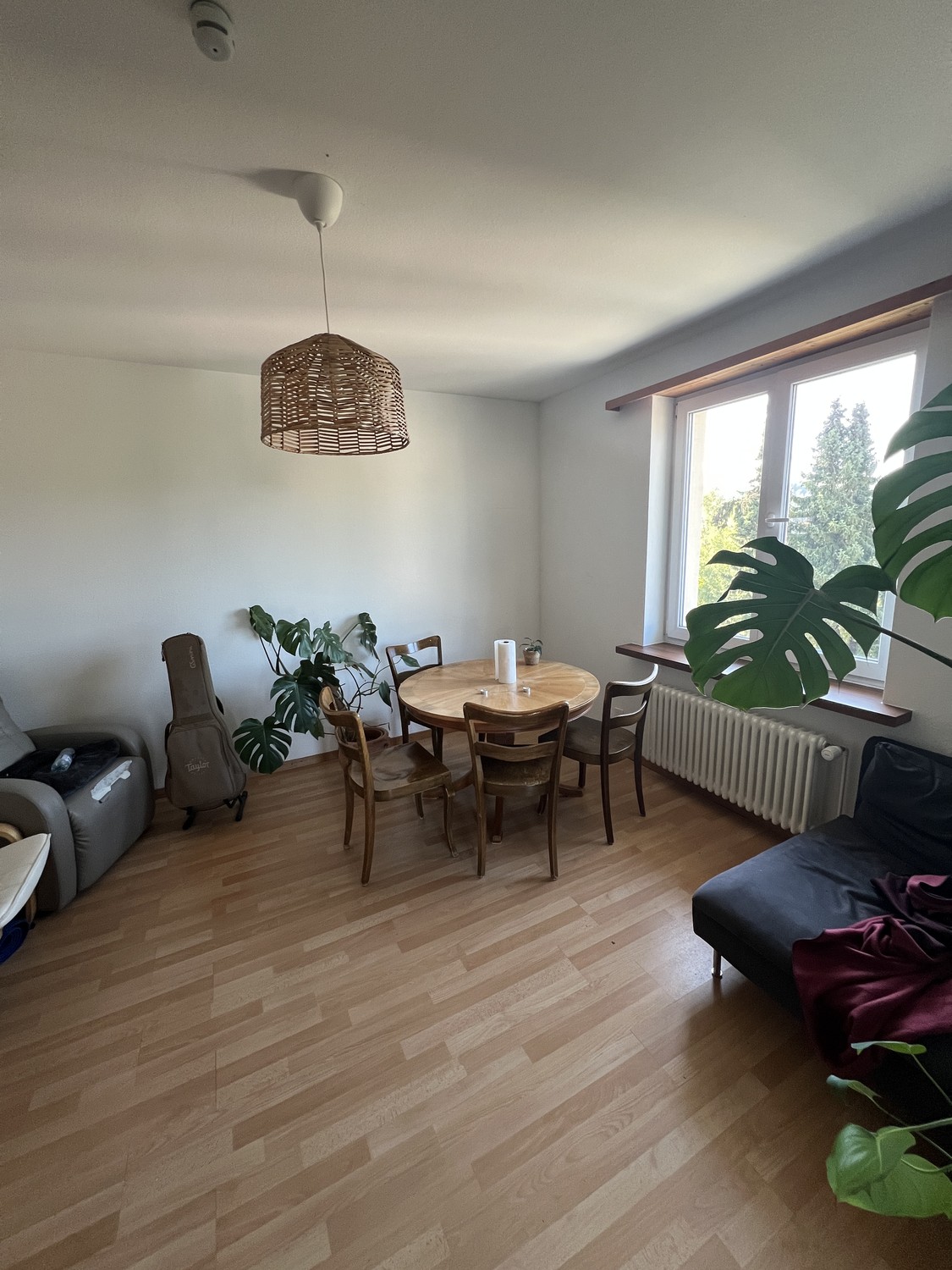 Room in a shared flat