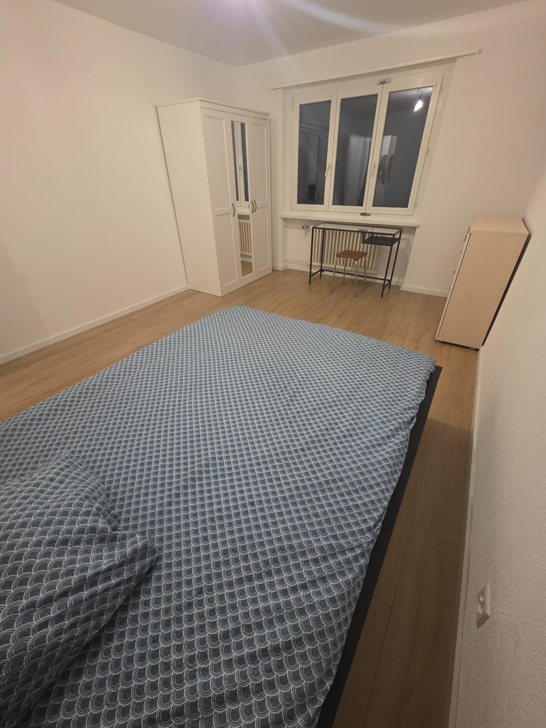 Room in a shared flat