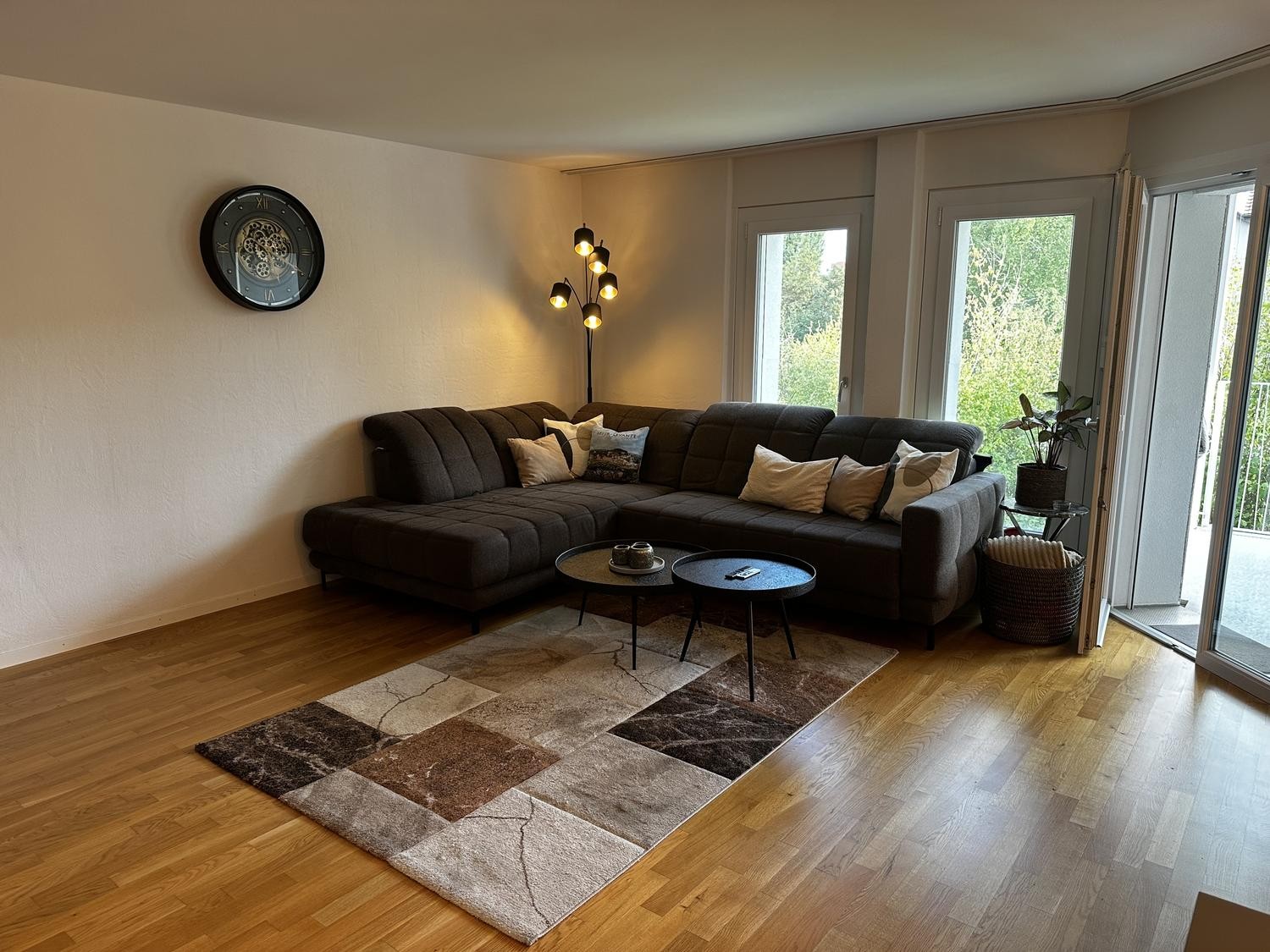 Appartement de 3 ½ pièces